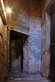 The Asylum - 