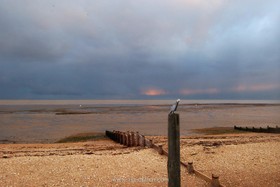 The Battery - beach