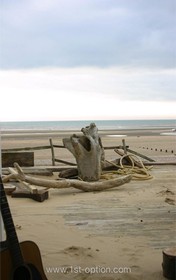 The Beach House - 