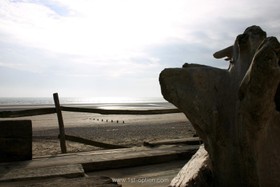 The Beach House - 