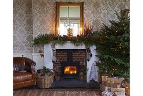 Belmont House - fireplace - working,fireplace,period,wallpaper