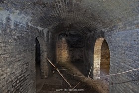 Boston Manor - distressed walls,exposed brick