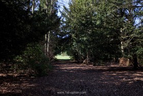 Boston Manor - 