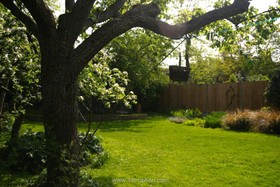 Brixton House - garden