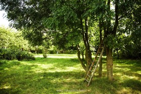 Broadhurst Gardens - 