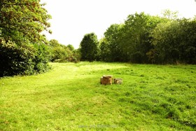 Broadhurst Gardens - 