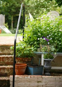 Bromley House - 