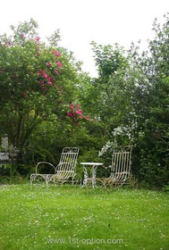 Bromley House - garden