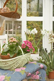 Bromley House - 