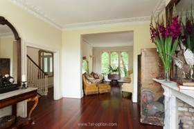 Cassland - mirror,antique furniture,living room,floor - wooden,opulent,retro/vintage,fireplace,fireplace - working,floor - dark