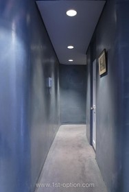 Cavendish Place - dark colours,hallway