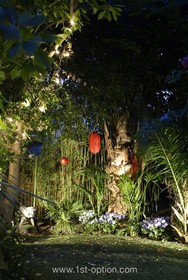 Cavendish Place - garden