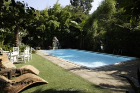 Cavendish Place - garden - landscaped,garden,swimming pool - outdoor,swimming pool