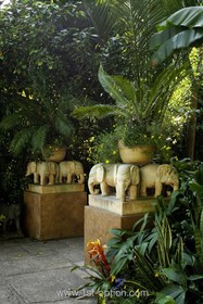 Cavendish Place - 