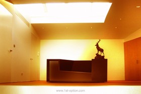 City Penthouse - 