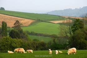 Coombe Farm - views,country,garden