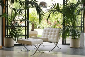 Etchingham Park - french doors,modern