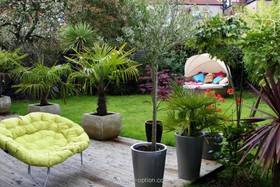 Etchingham Park - garden