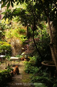 Fournier Street - garden