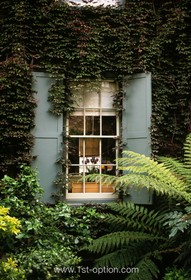 Fournier Street - 