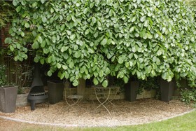 Hampton Lodge - 