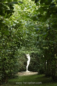 Harlow Garden - garden