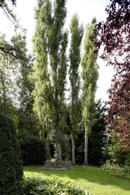 Harlow Garden - 