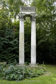 Harlow Garden - garden,quirky