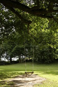 Harlow Garden - 