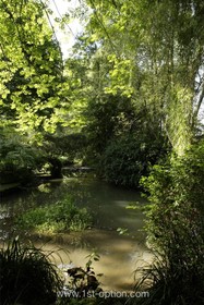 Harlow Garden - 