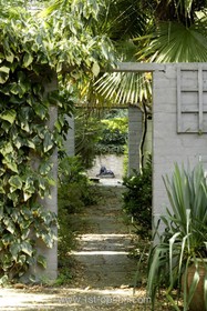 Harlow Garden - 