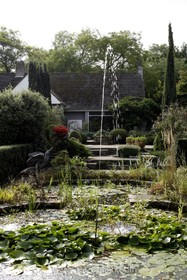 Harlow Garden - 