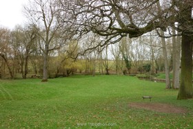 Harlow Garden - garden