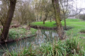 Harlow Garden - 