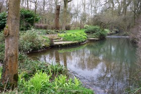 Harlow Garden - 
