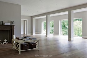 Hatchway - floor - light,floor - wooden,living room,modern