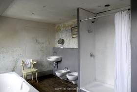 Henry VIII Boathouse - attic,bathroom,shower,distressed walls