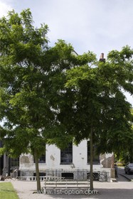 Henry VIII Boathouse - 