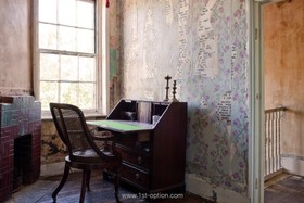 The House - wallpaper,distressed walls,fireplace,study