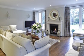 Littleworth - fireplace,floor - light,floor - wooden,living room,mirror,modern