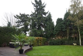 Littleworth - 