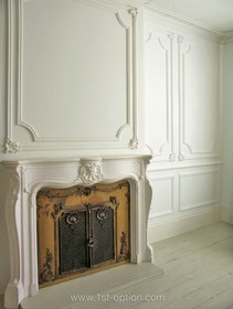 Lordship Park - wood panneling,fireplace