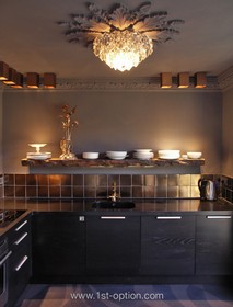 Lordship Park - dark colours,kitchen,retro/vintage