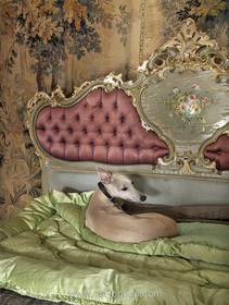 Lordship Park - antique bed