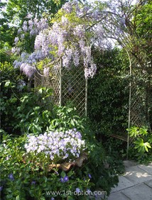 Lordship Park - 