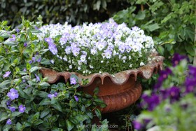 Lordship Park - 