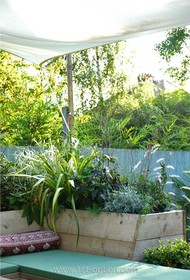 Mount Pleasant - 