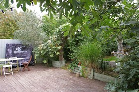Mount Pleasant - 