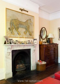 The Oval - fireplace,period