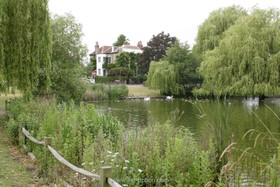 Petersham Common - 